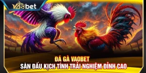 Đá Gà Vaobet – Sàn Đấu Kịch Tính Trải Nghiệm Đỉnh Cao