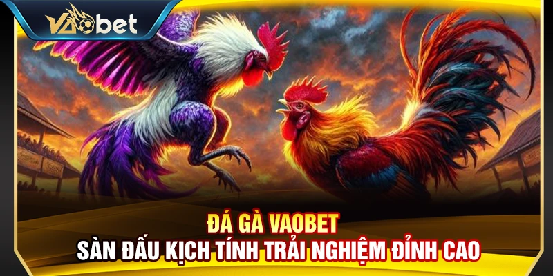 Đá Gà Vaobet – Sàn Đấu Cá Cược Kịch Tính Trải Nghiệm Đỉnh Cao 1 Đá Gà Vaobet – Sàn Đấu Kịch Tính Trải Nghiệm Đỉnh Cao