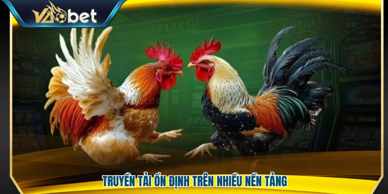 Đá Gà Vaobet – Sàn Đấu Cá Cược Kịch Tính Trải Nghiệm Đỉnh Cao 4 Phát sóng ổn định trên nhiều thiết bị và nền tảng