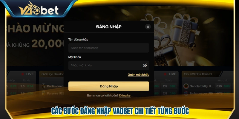 Đăng Nhập Vaobet – Truy Cập Tài Khoản Nhanh Và Ổn Định 2 Quy trình đăng nhập Vaobet được hướng dẫn chi tiết